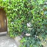 Apartment Vanda Poreč