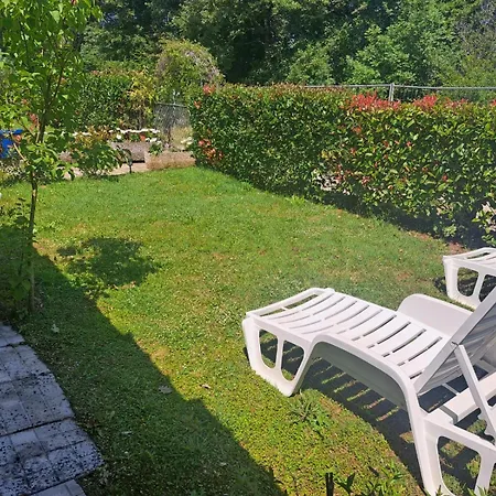 Vanda * بوريتش