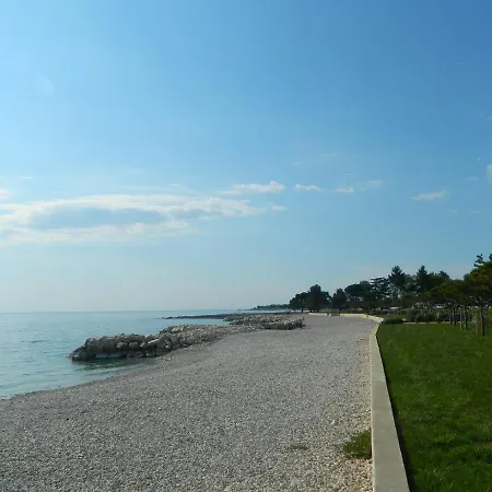 Vanda * Porec