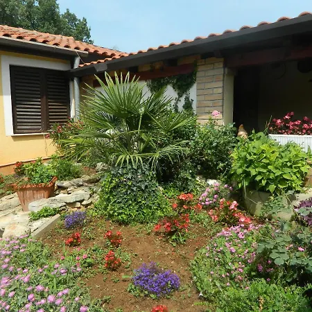 Vanda * Porec